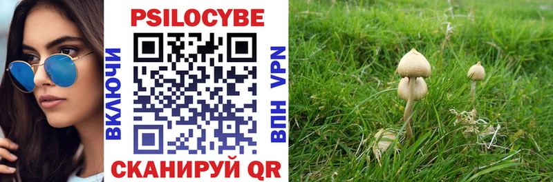 Псилоцибиновые грибы GOLDEN TEACHER Ессентукская